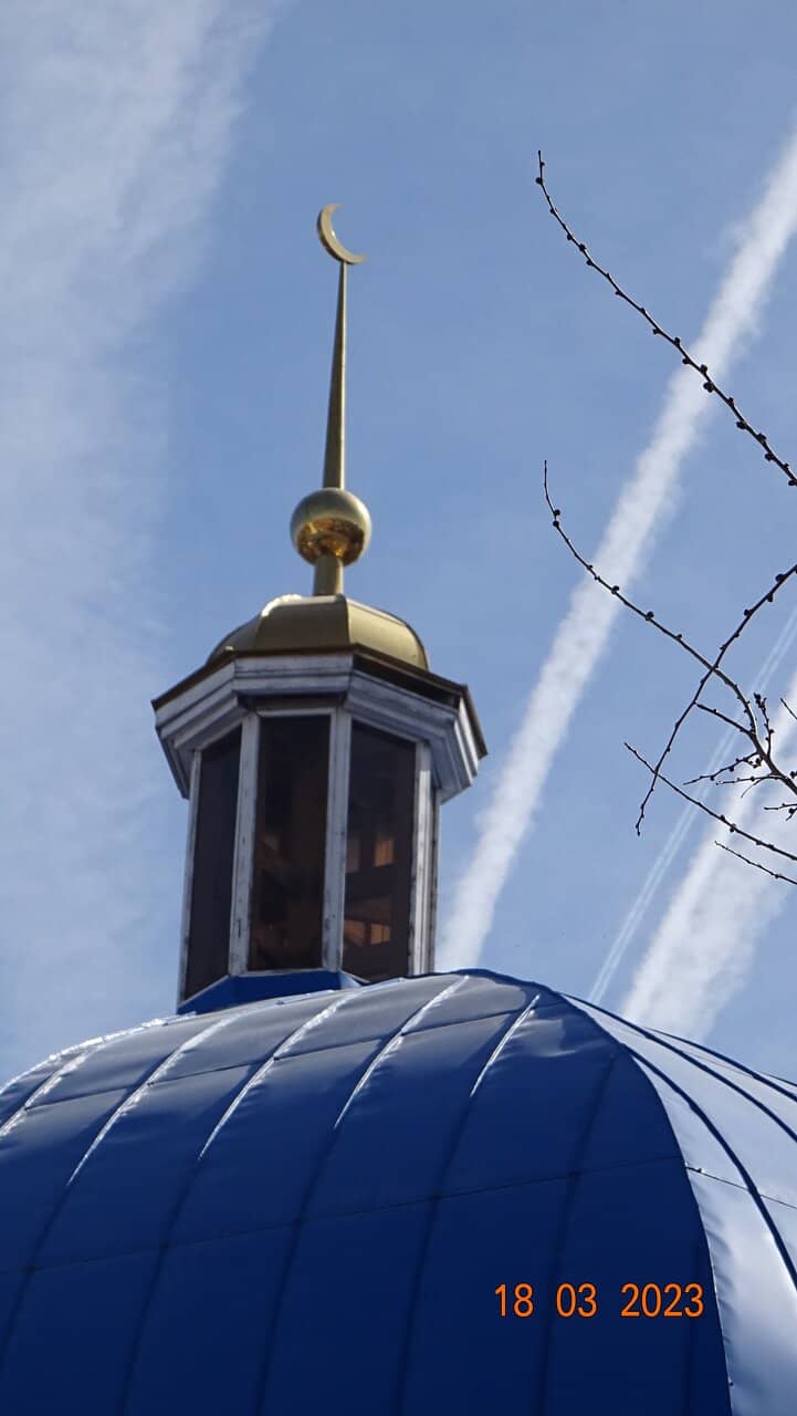 Vertical photo