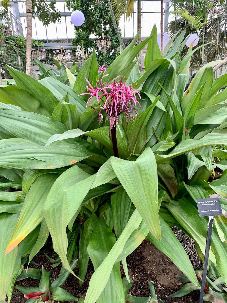 Outdoor Gardens & Lagoon