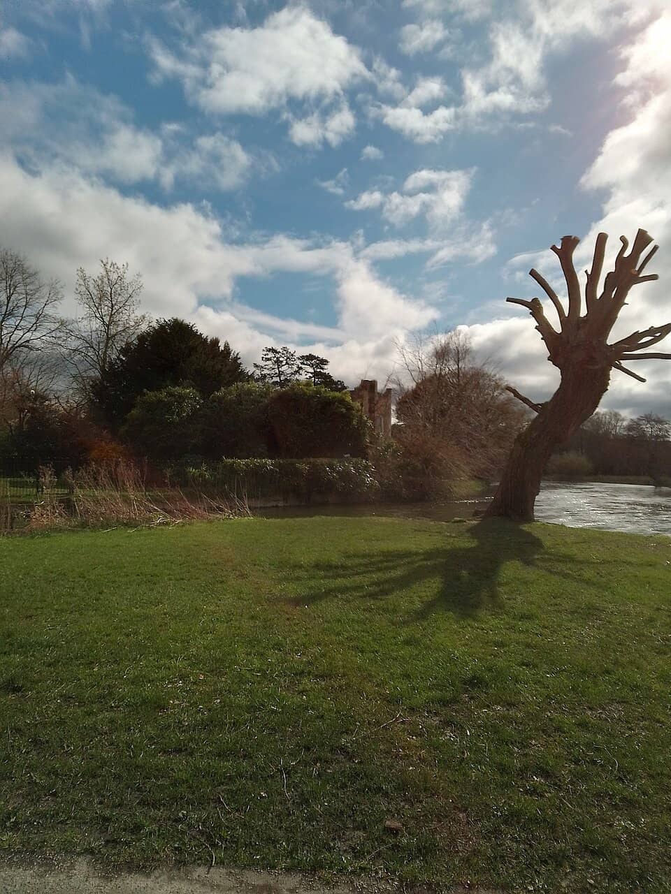 Queen Elizabeth Hall Roof Gardens