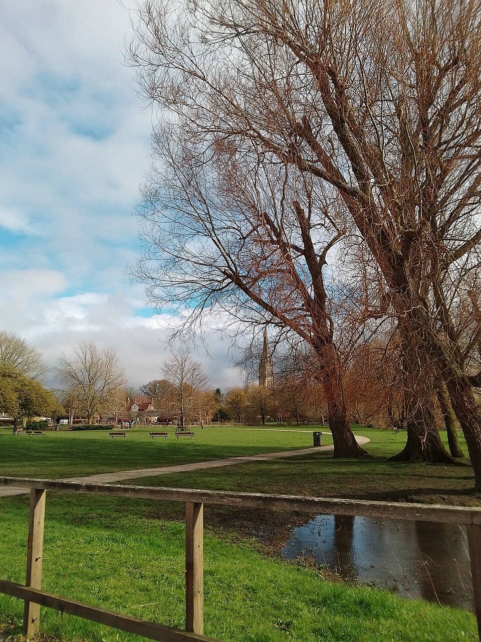 Vibrant Flower Gardens