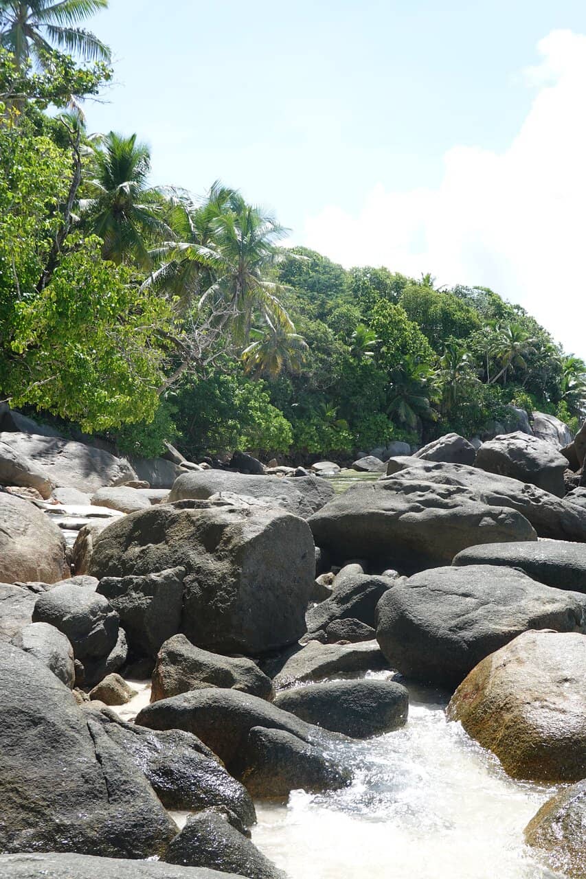 Pirate's Cove Mystery