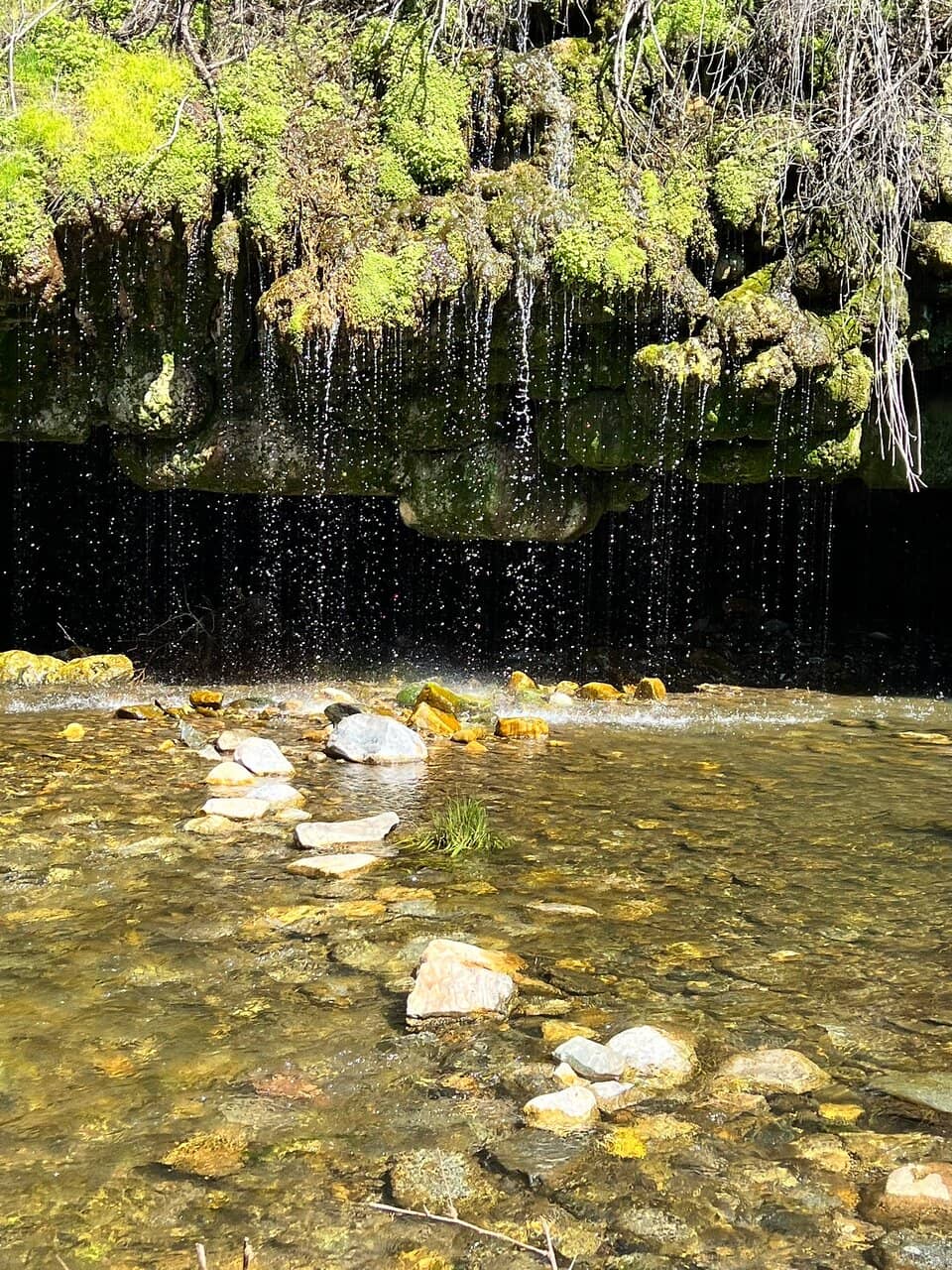 Riverside Pools