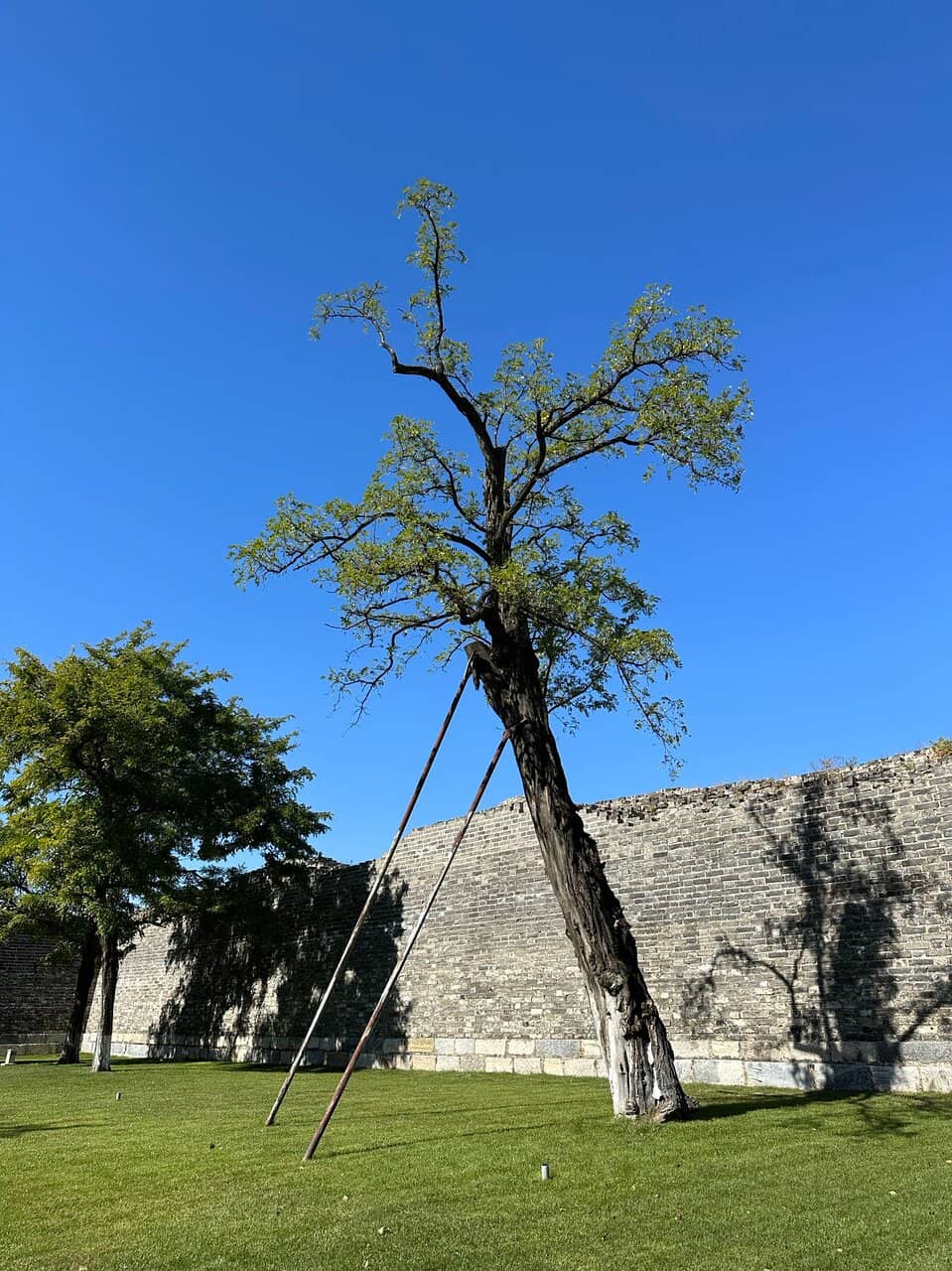 Southeast Corner Tower