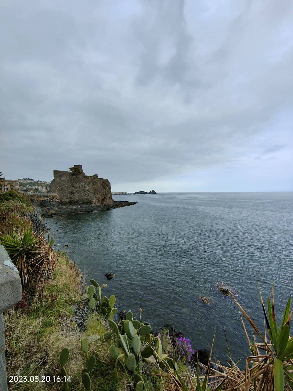 Vertical photo