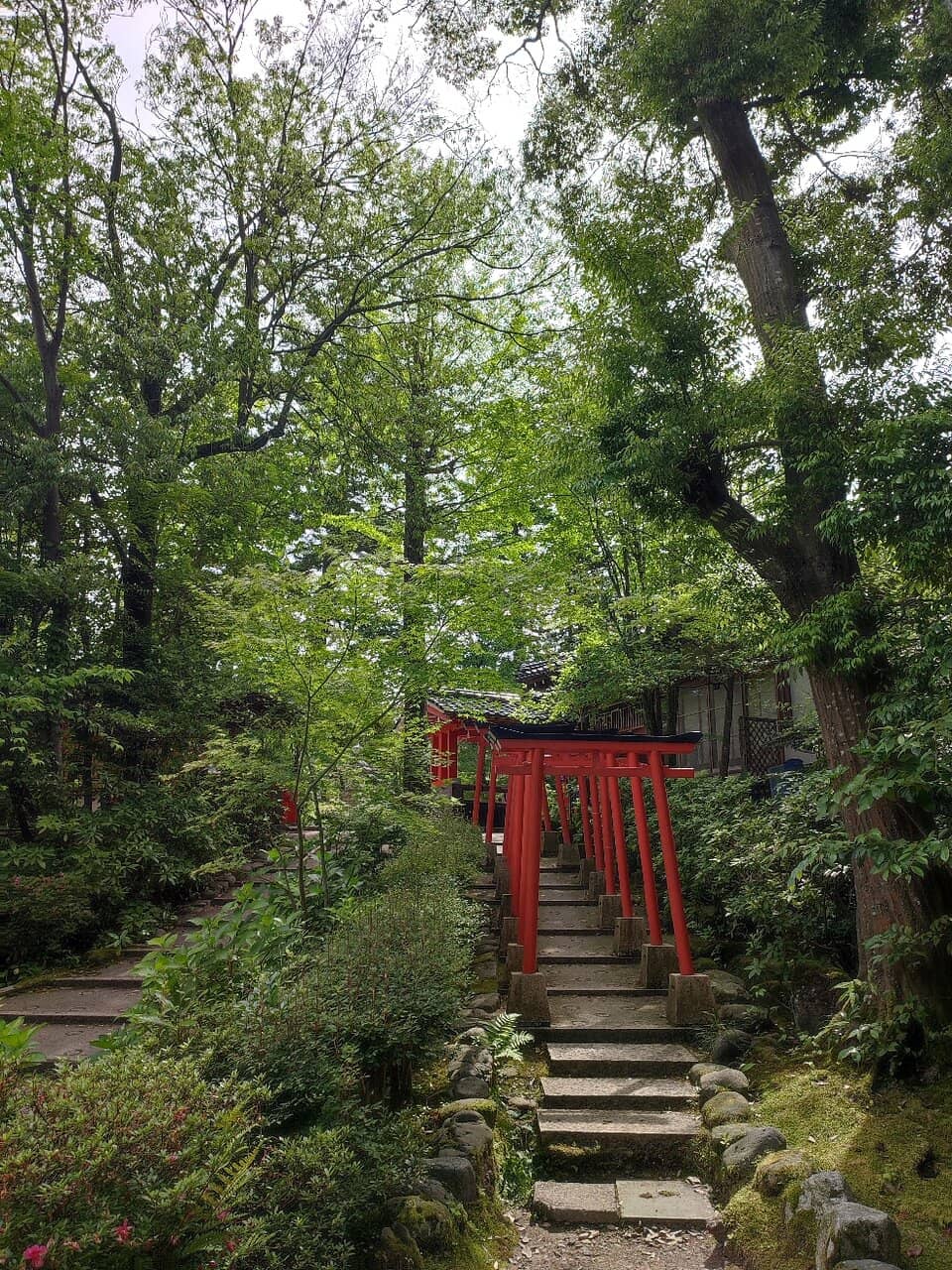Goshuin Collection