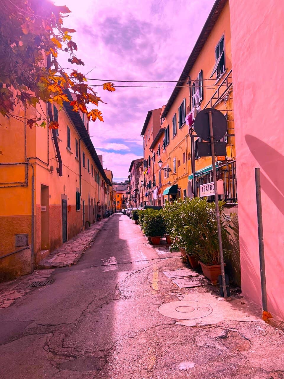 Vertical photo
