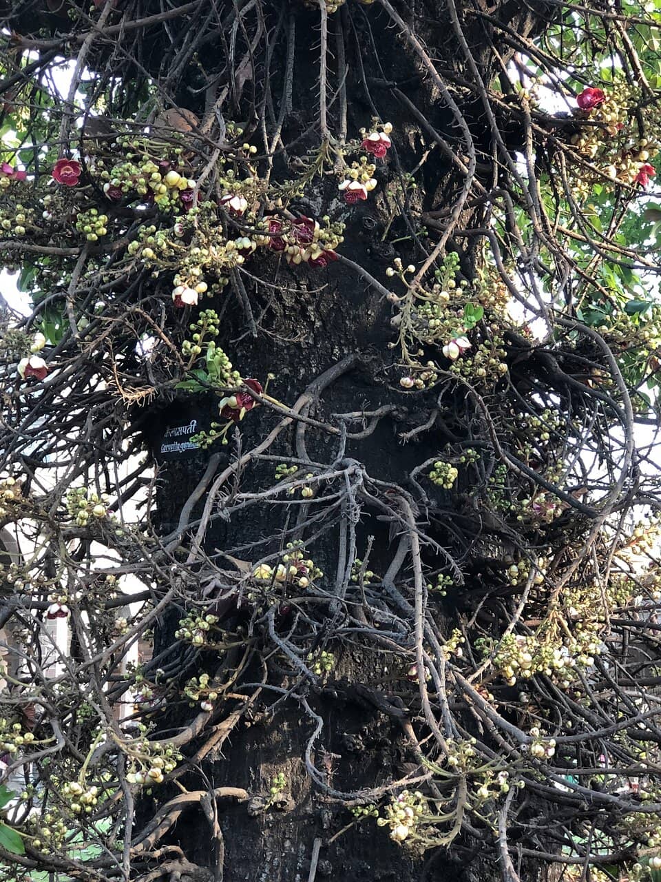 Vertical photo