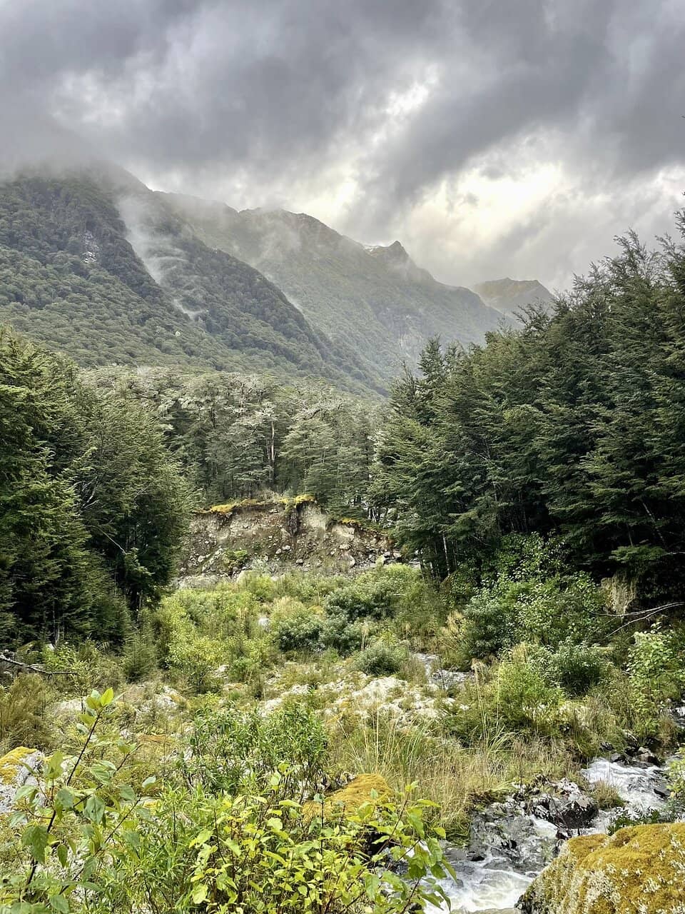 Interactive Exhibits