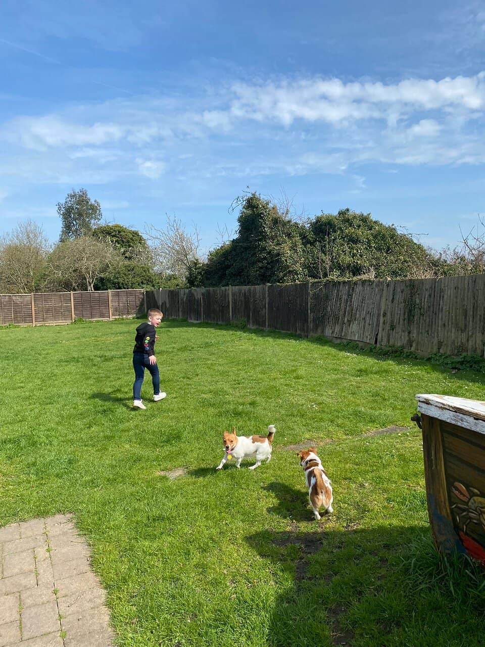 River Medway Shoreline