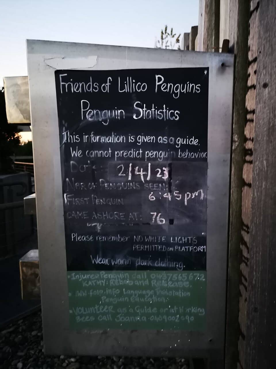 Stargazing & Aurora Australis