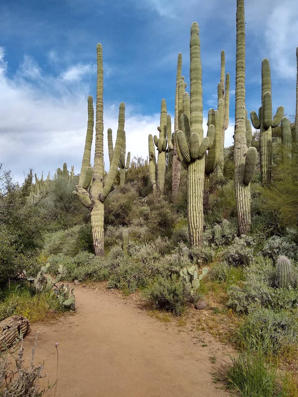 Vertical photo