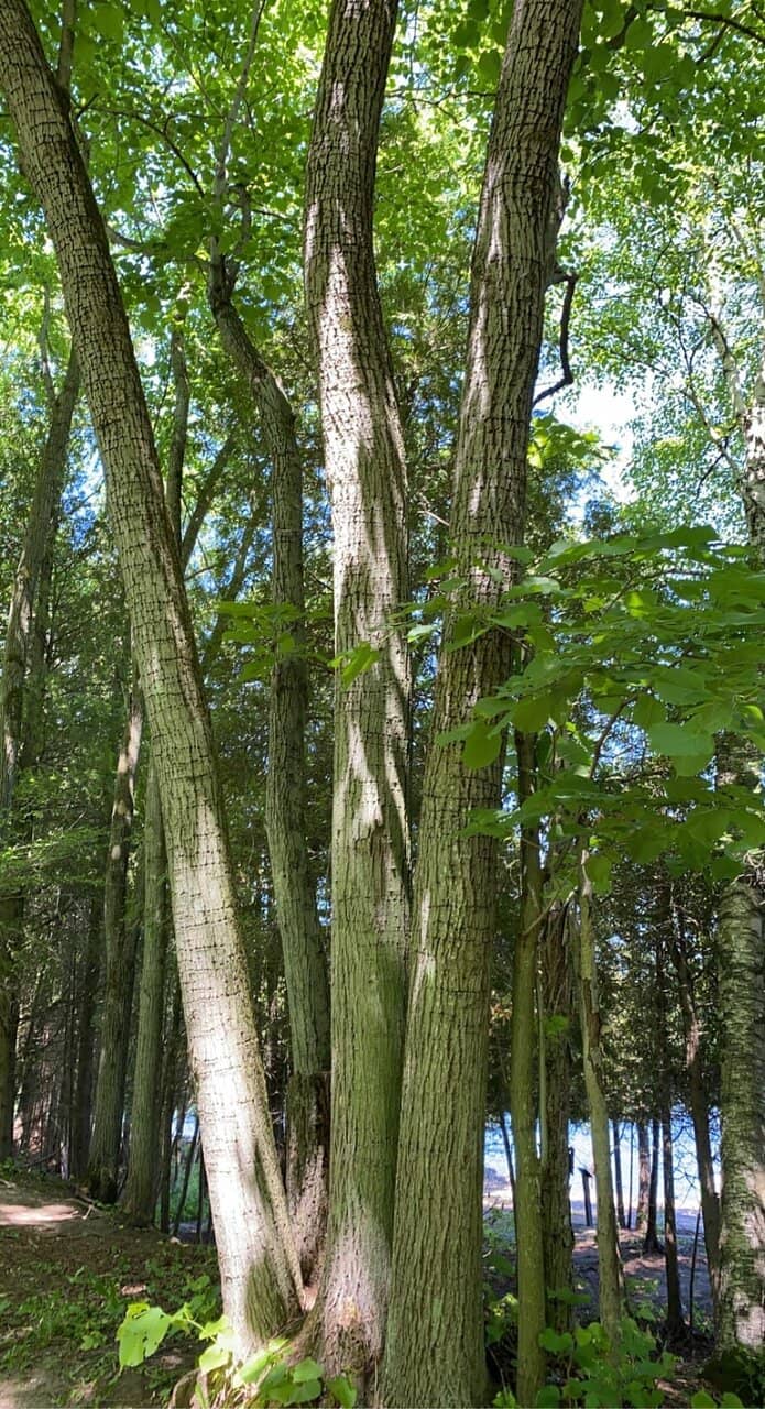 Private Campsites