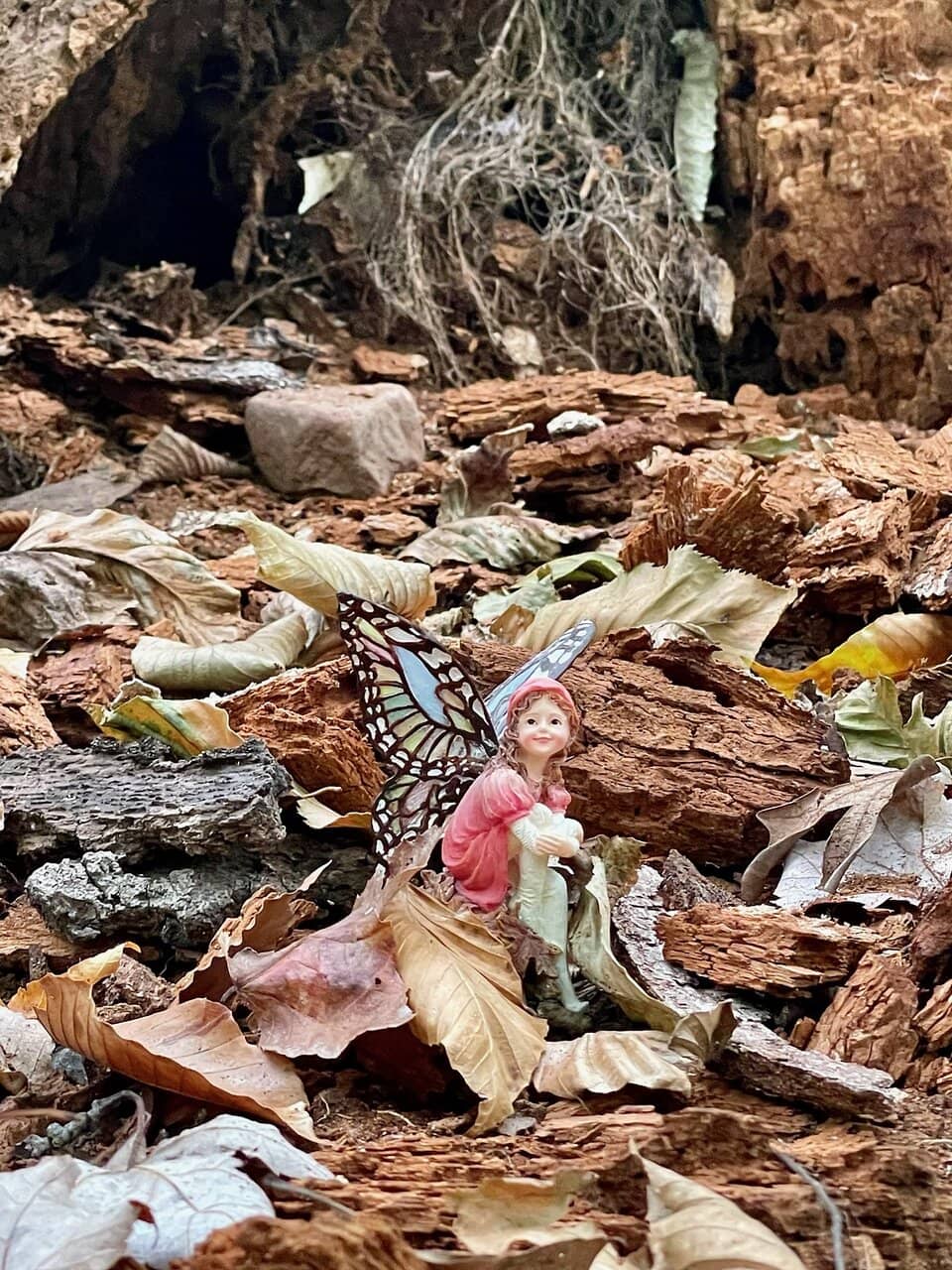 Interactive Nature Play