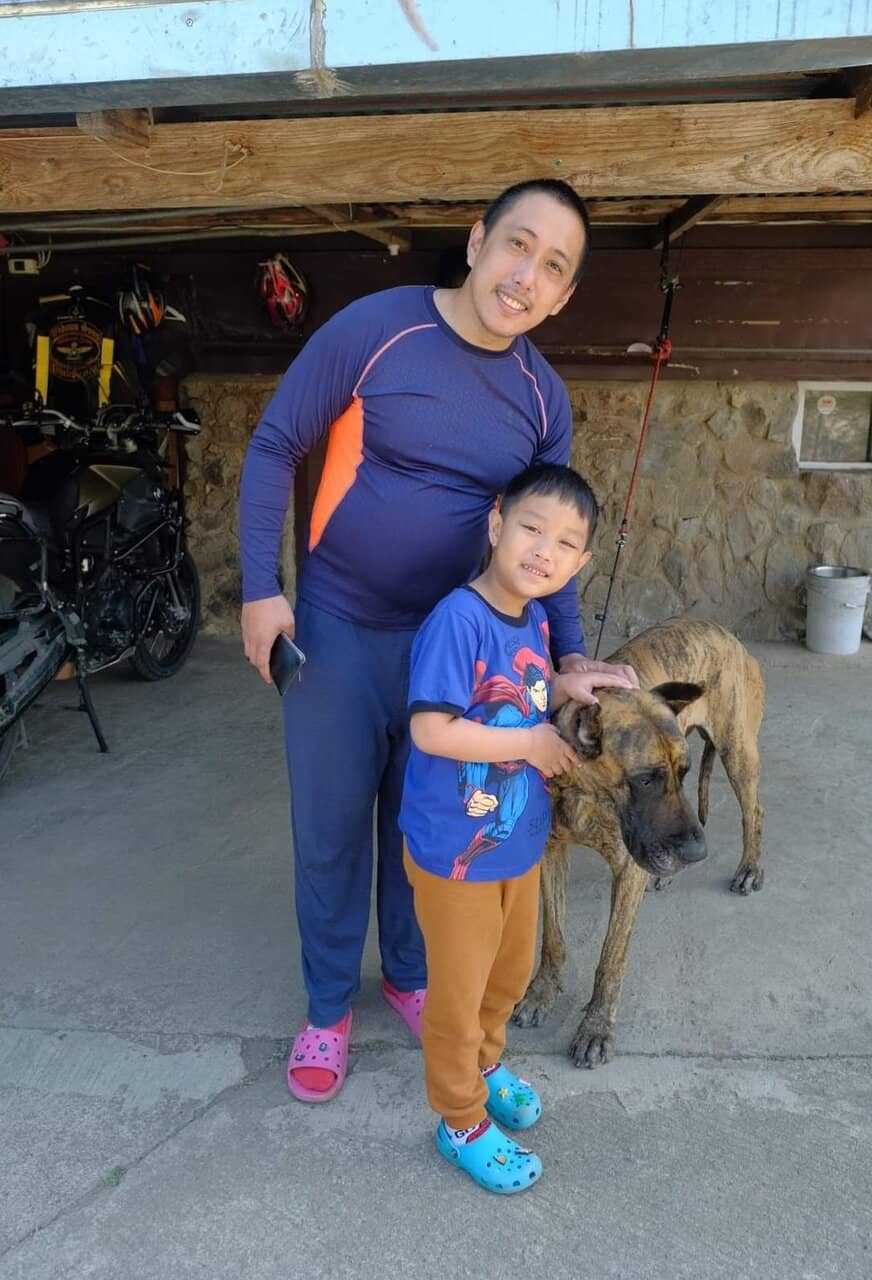 Strawberry & Avocado Ice Cream