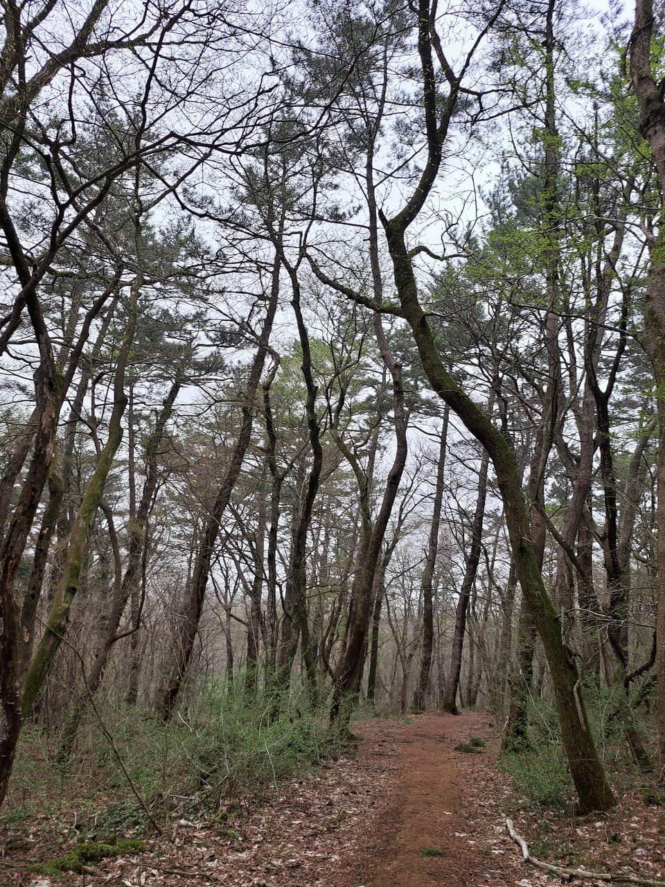 Barrier-Free Path