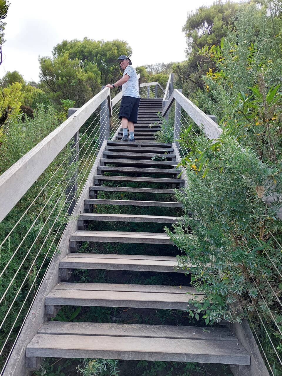The Suspension Bridge