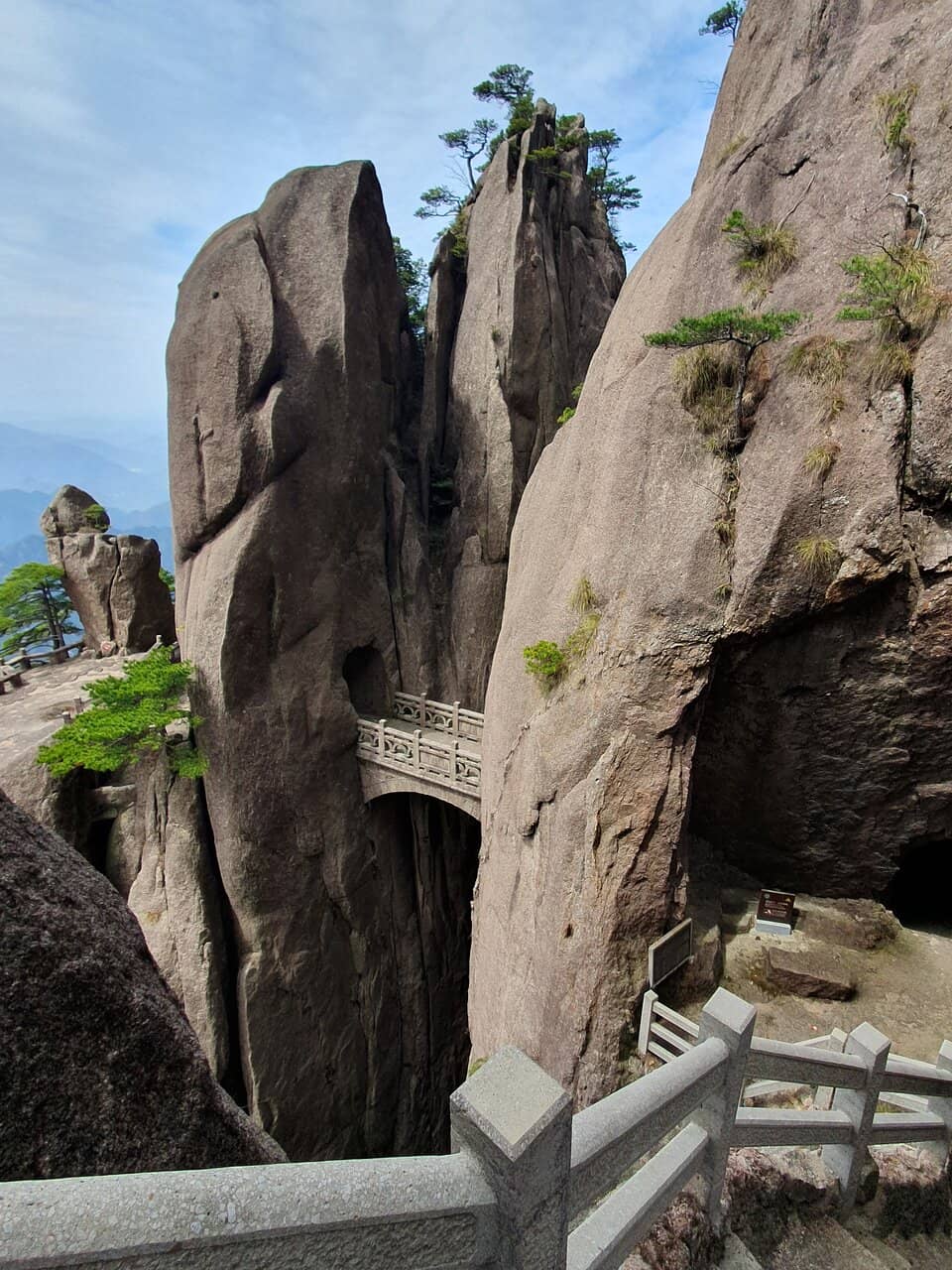Vertical photo