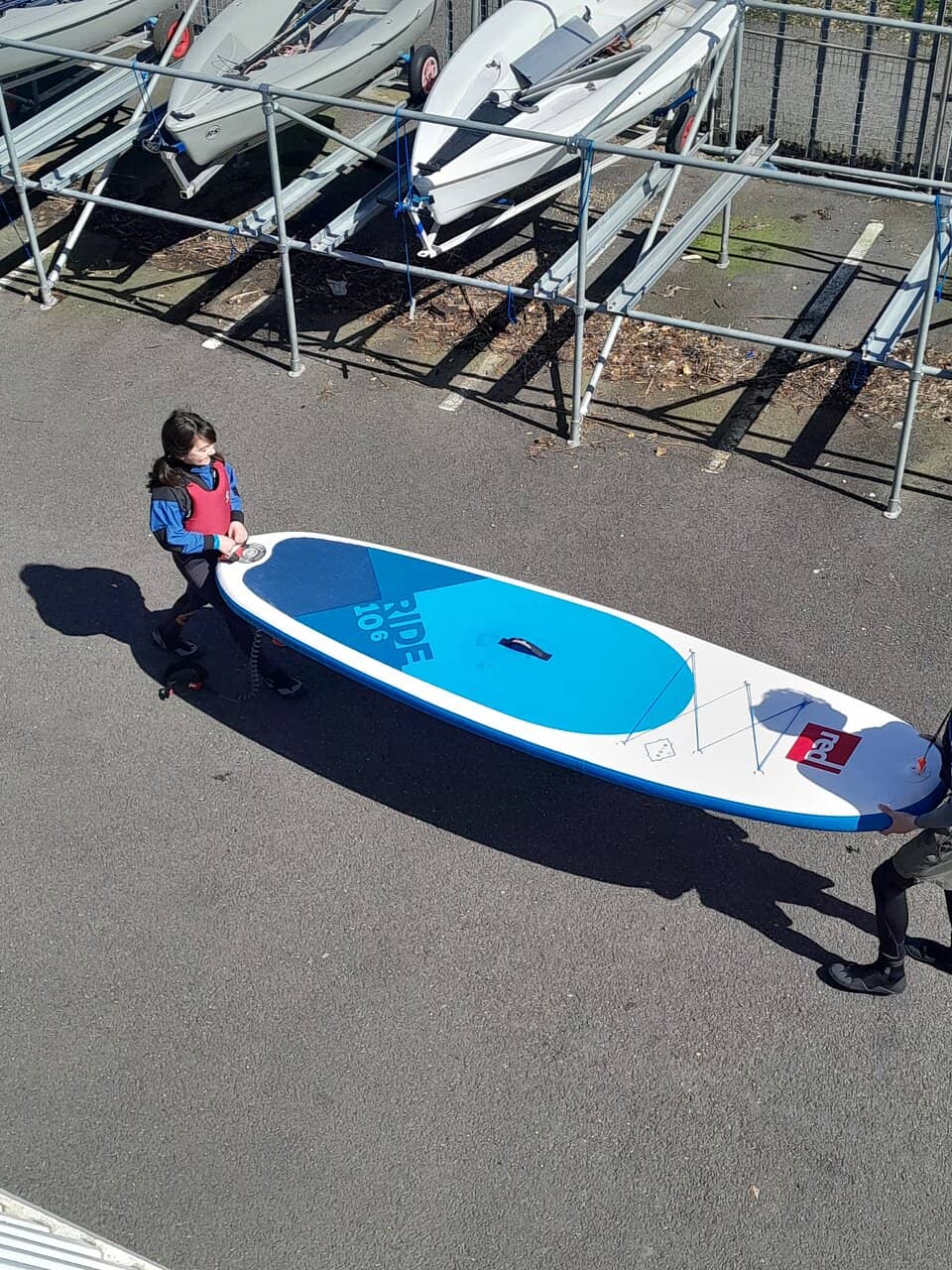 Shark and Rabbit Fish Specimens