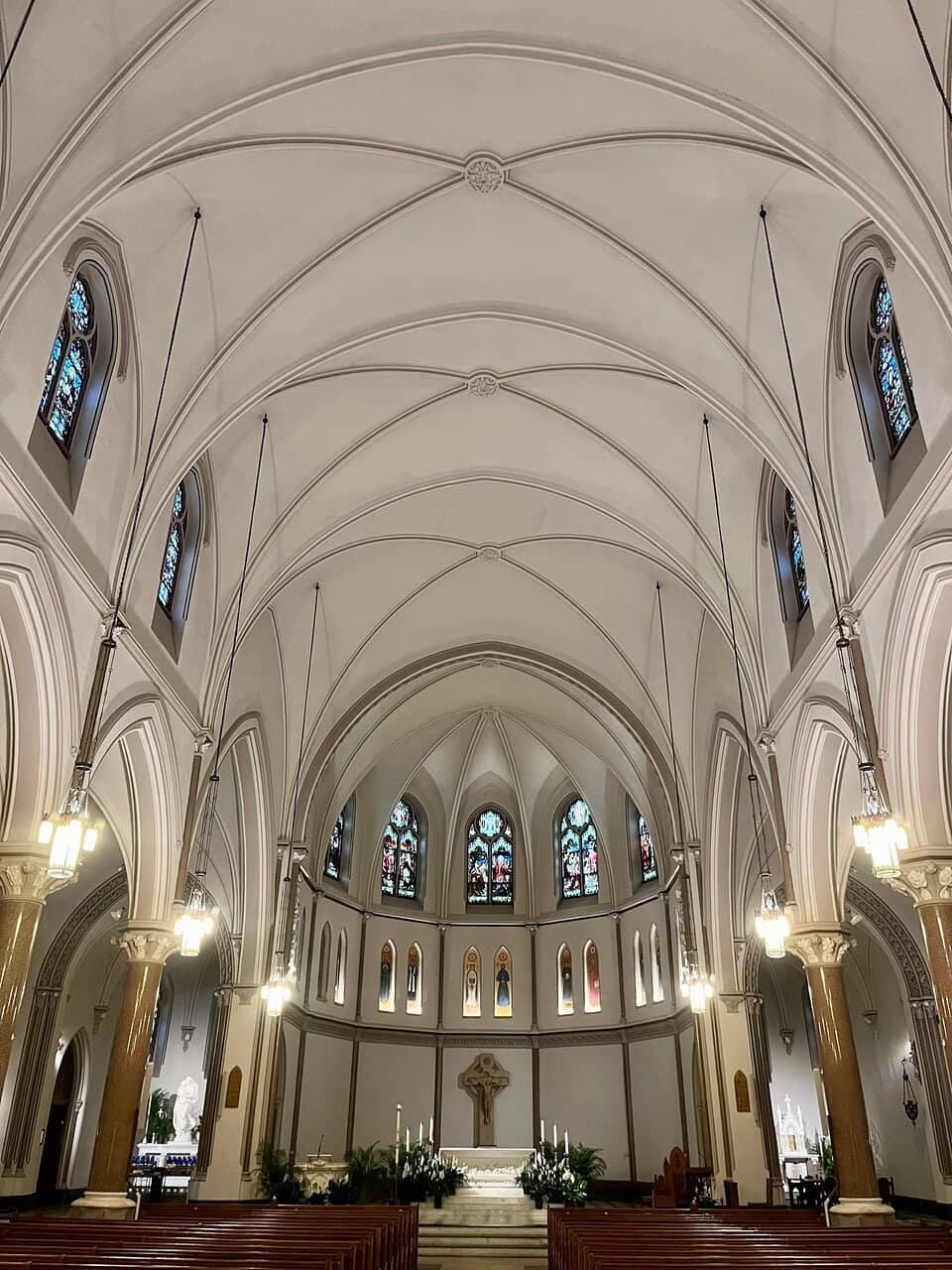 St. Mary of the Cross MacKillop Connection