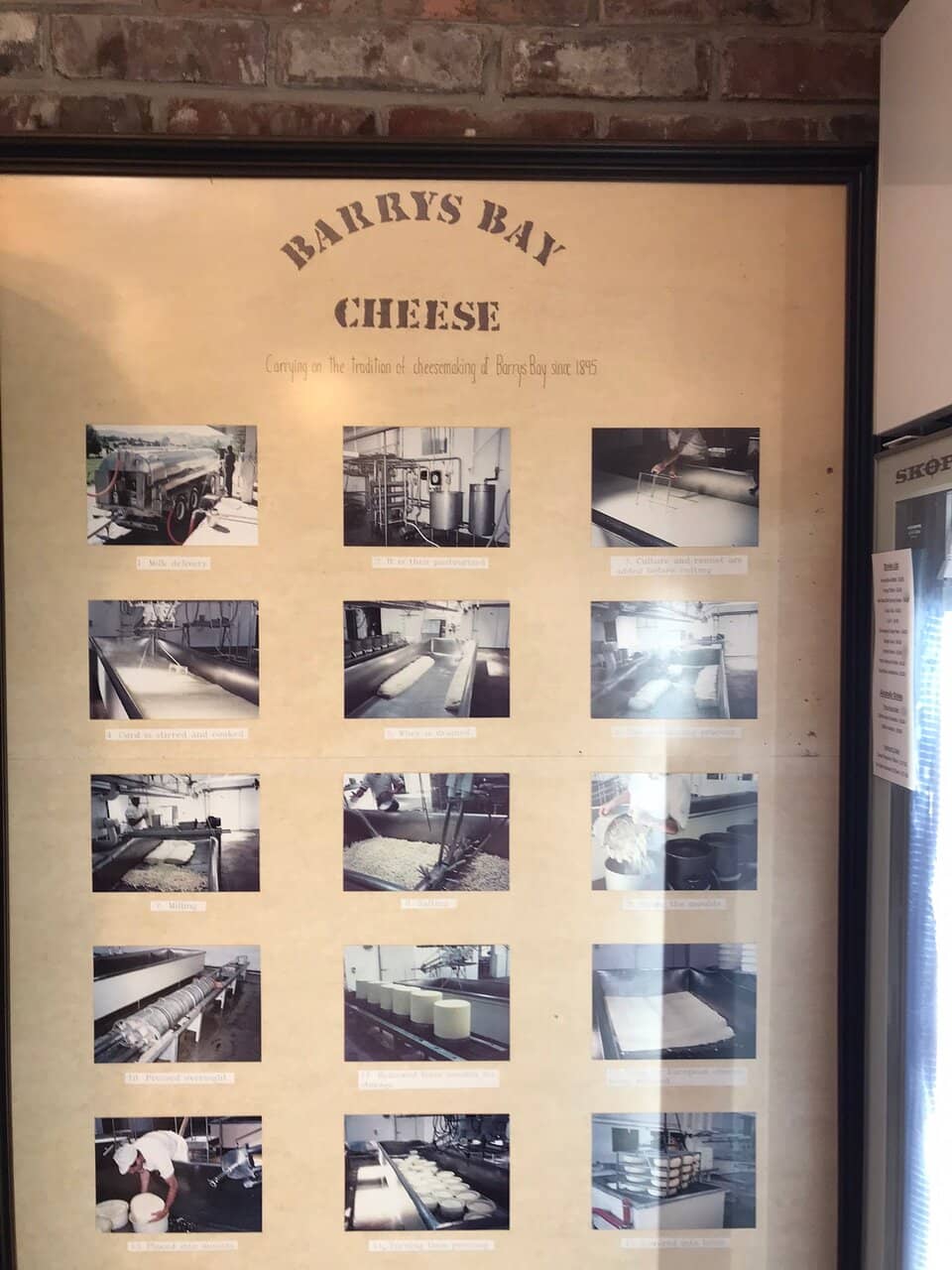 Cheese Production Viewing Window