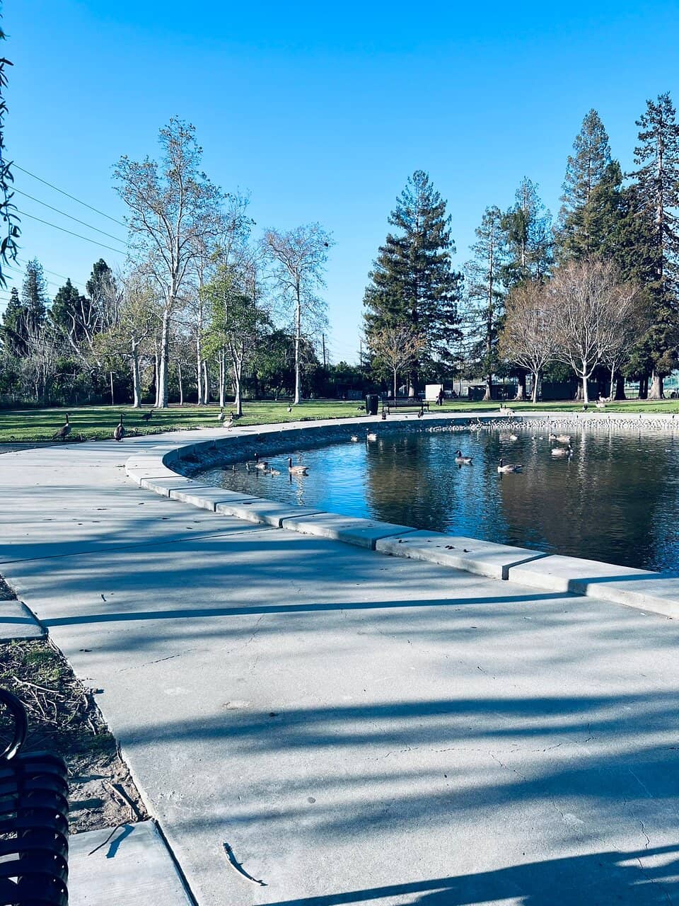 Sports Fields & Picnic Areas