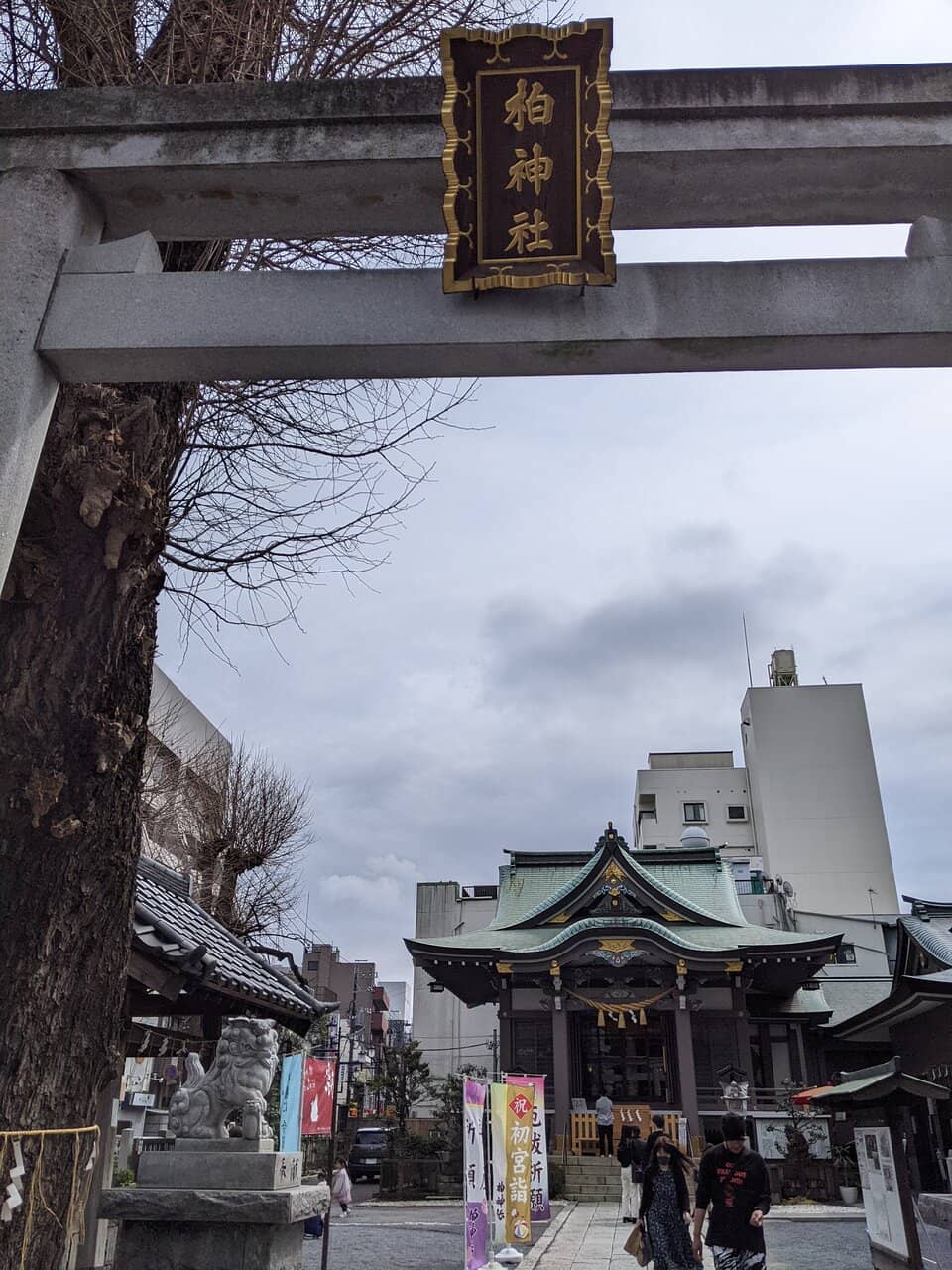 Vertical photo