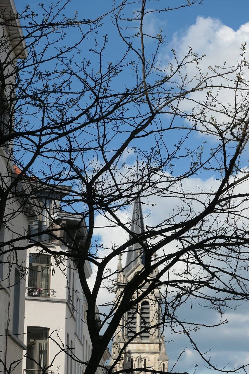 Vertical photo