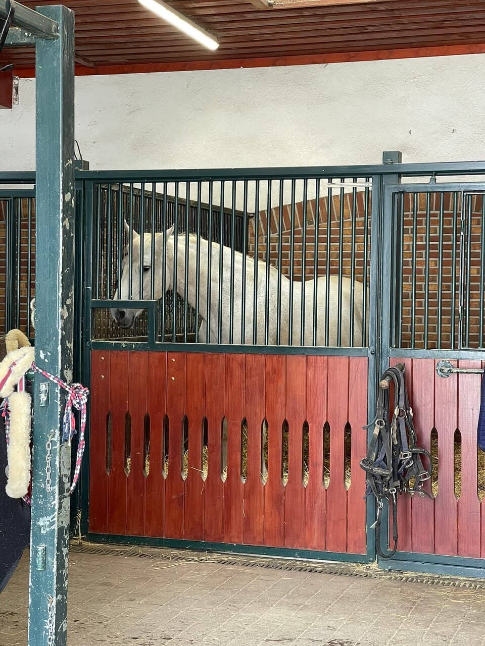 Trophy Museum