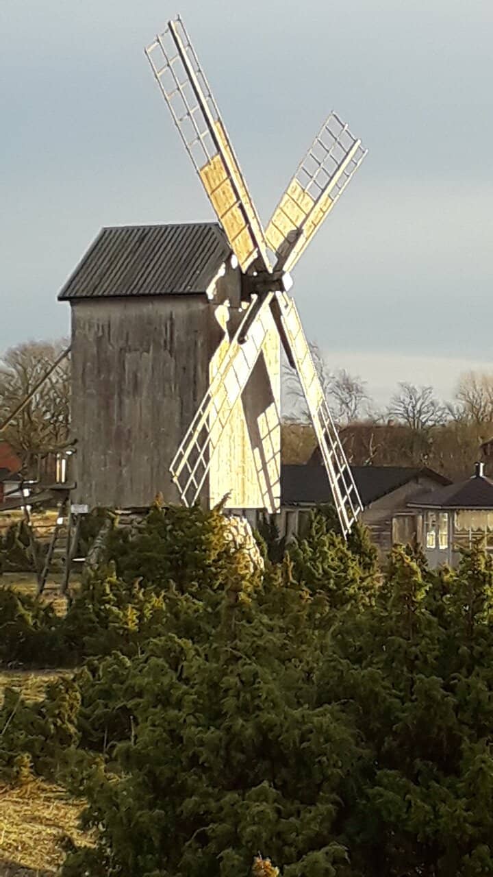 Iconic Windmill View