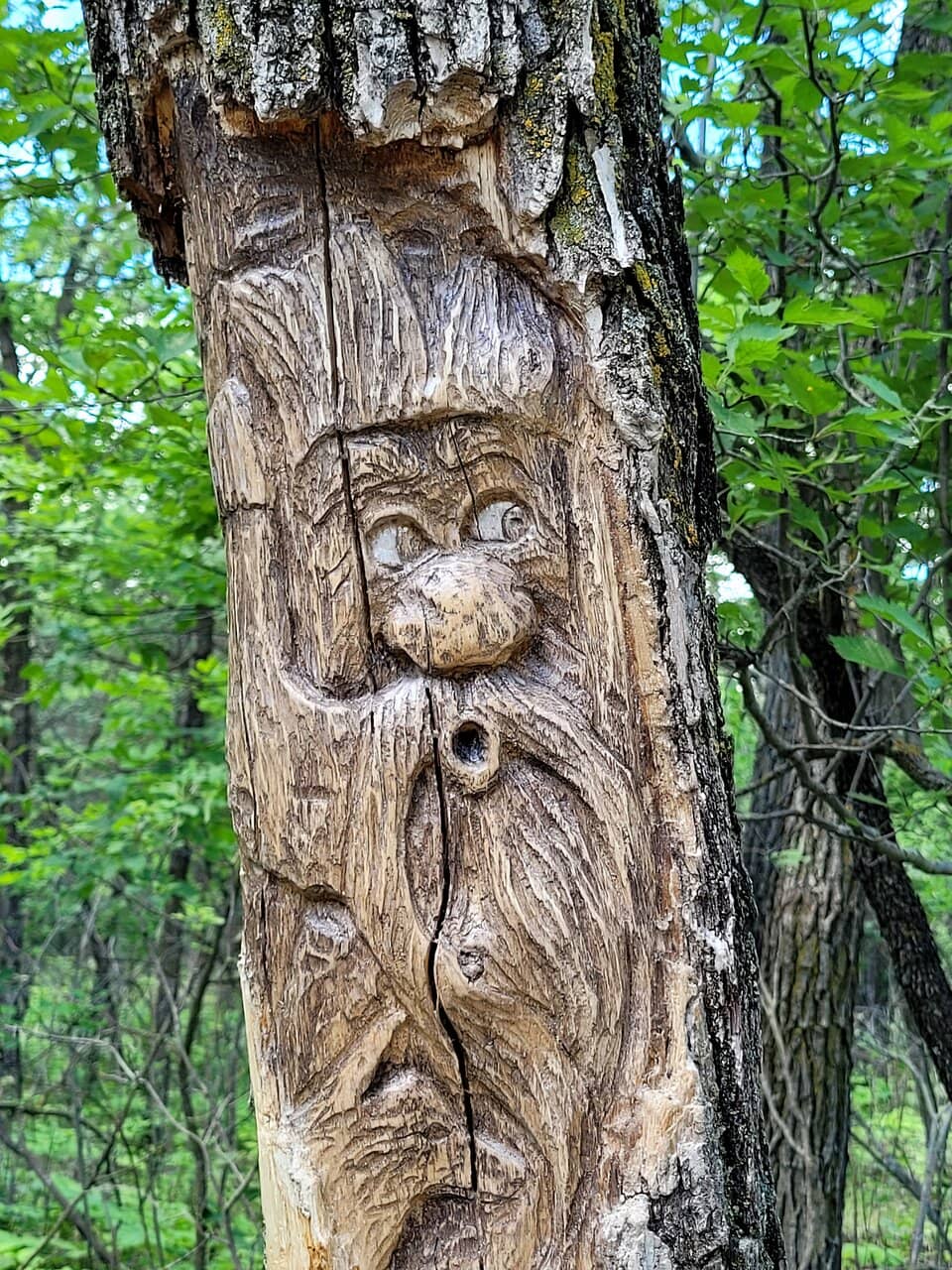 Whimsical Tree Carvings