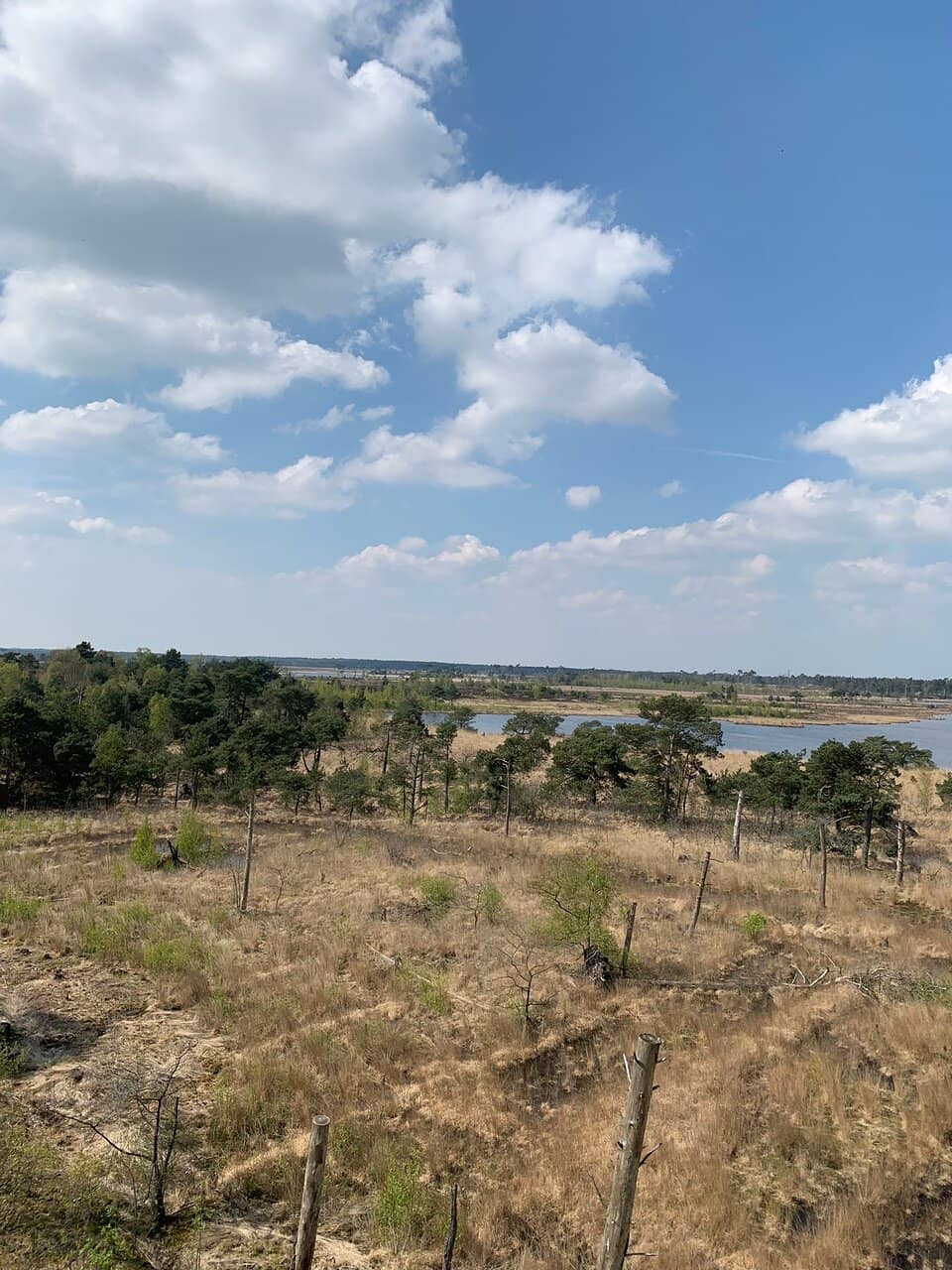 Dog-Friendly Viervoeterstocht