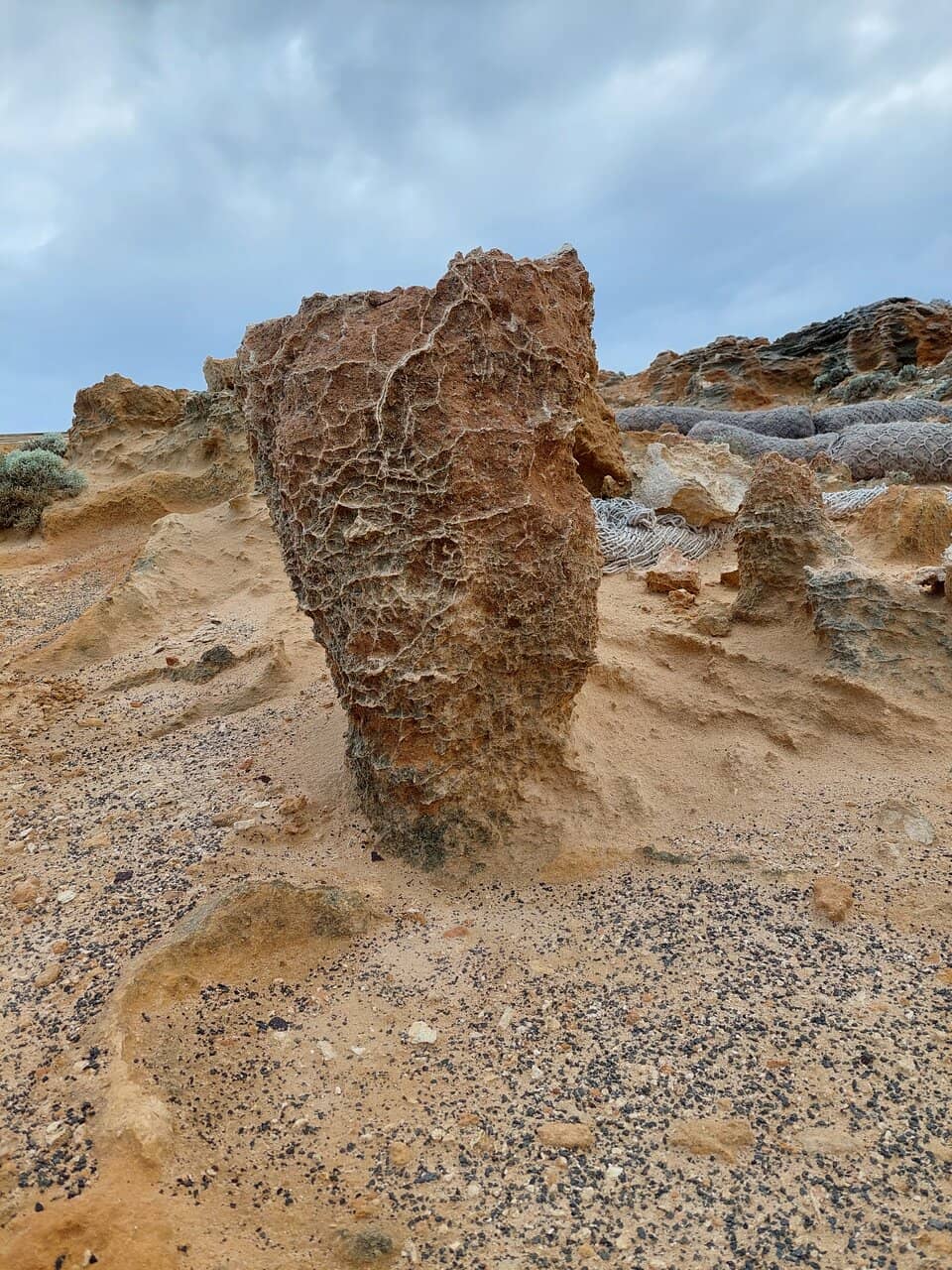 Seal Colony Viewing Platform