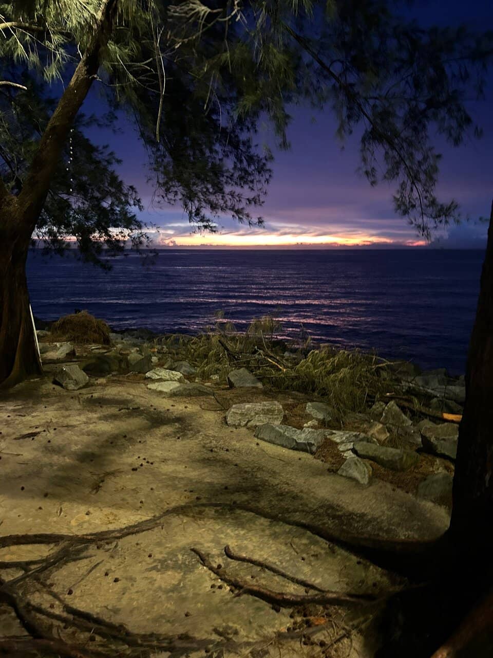 Panoramic City Views