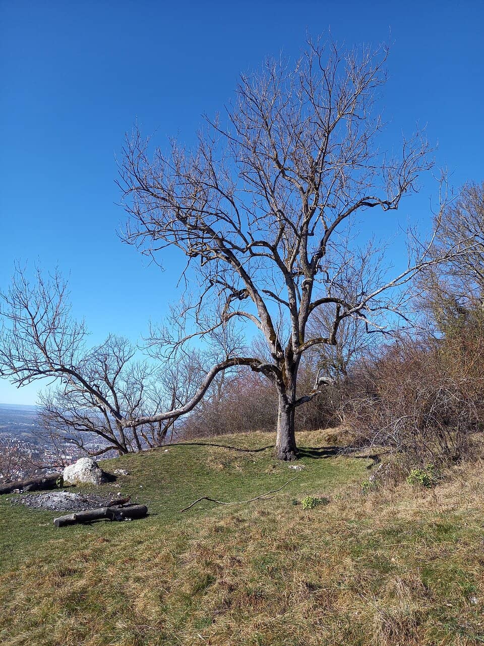 The Achalm Hike