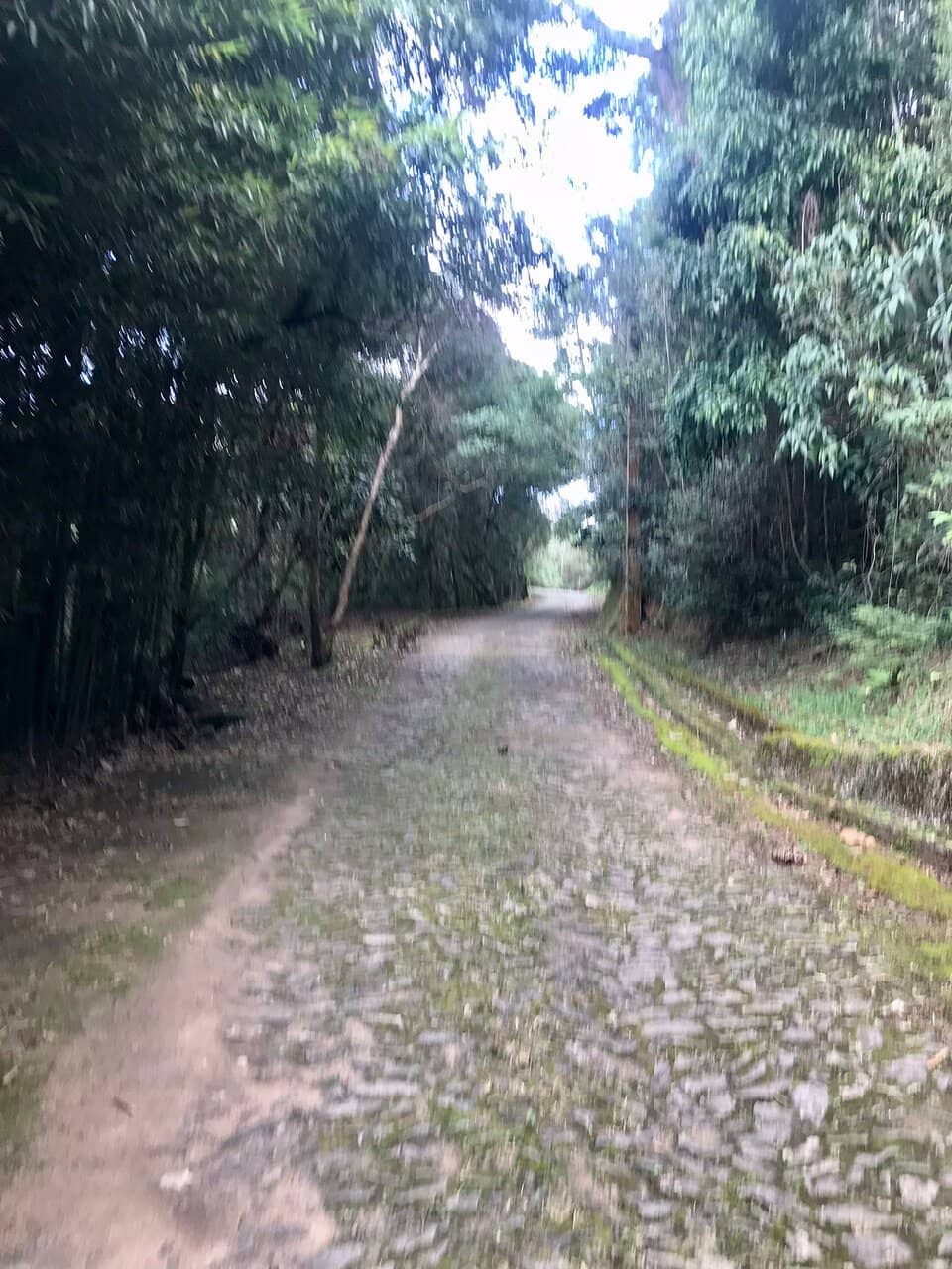 Scenic Trails