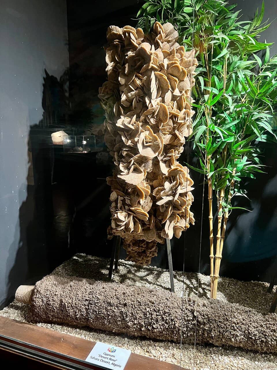 Unique Magnifying Glasses