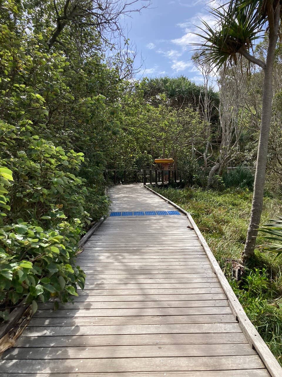 Mangrove Boardwalk