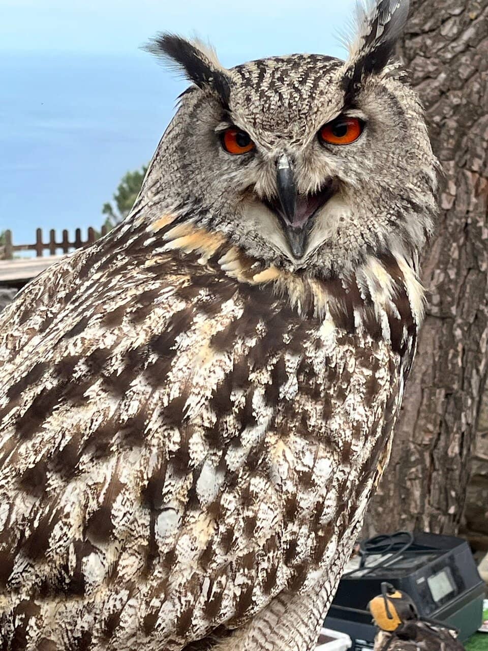 Vertical photo