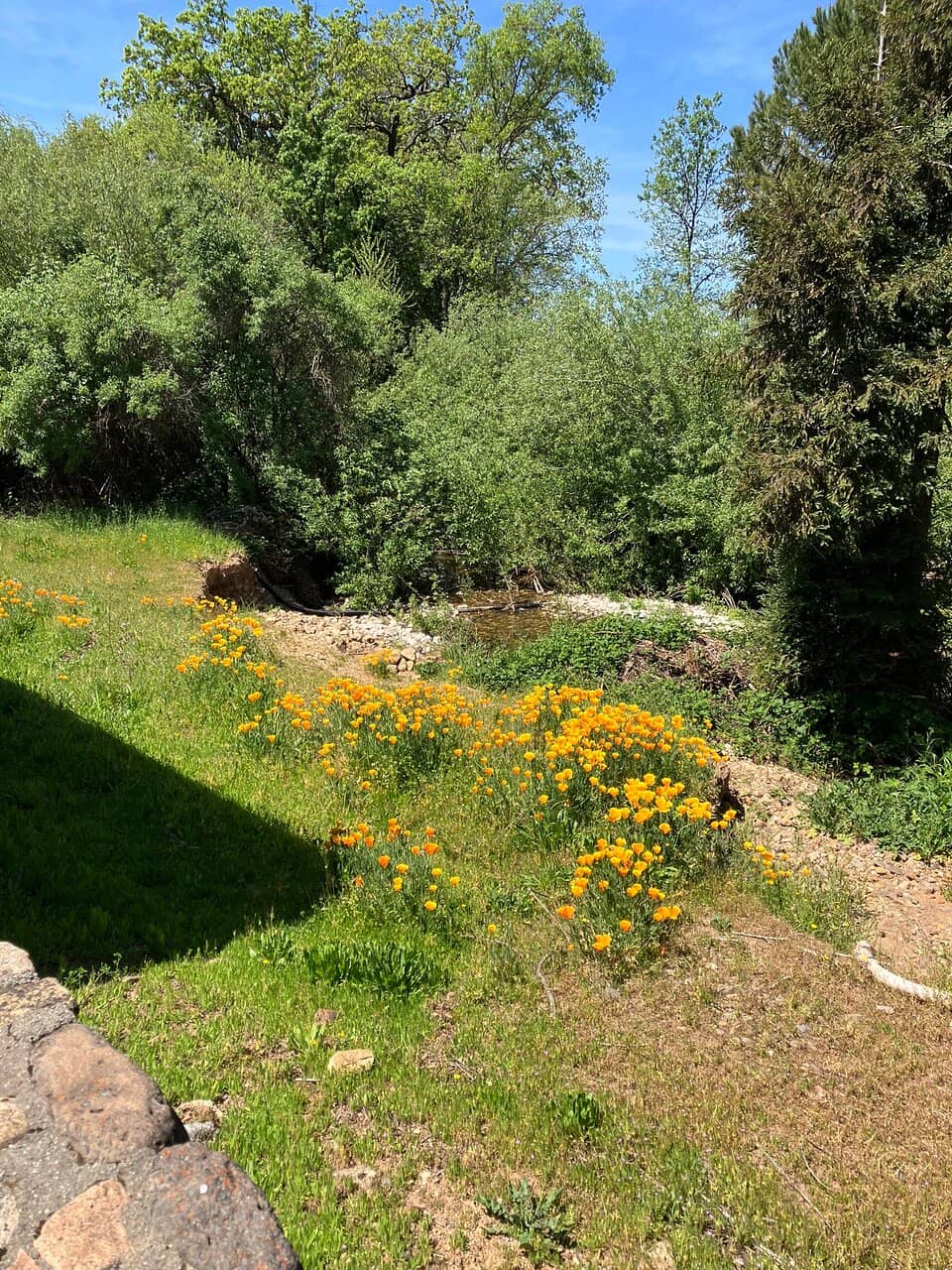 Informative & Friendly Hosts