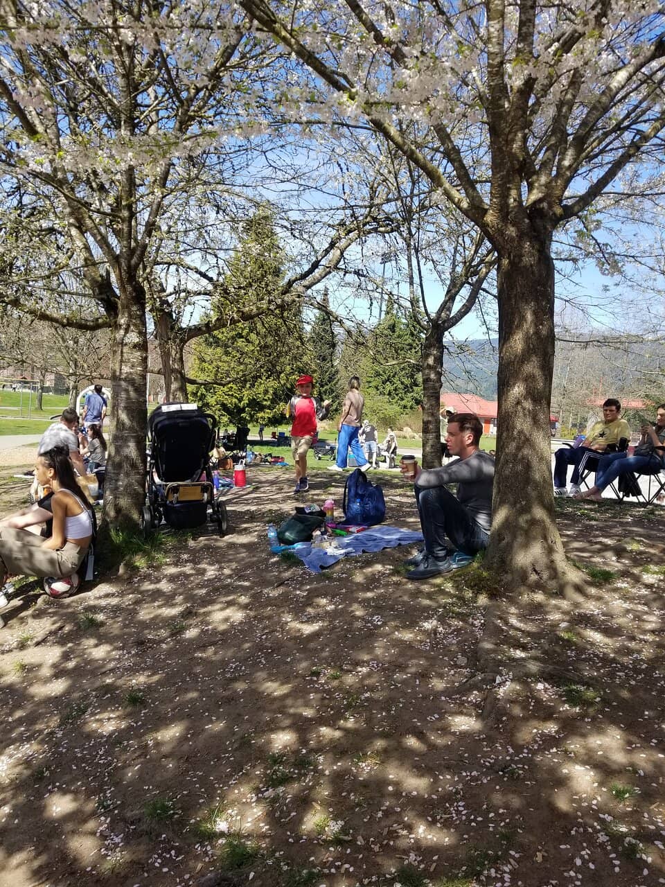 Winter Lights Festival