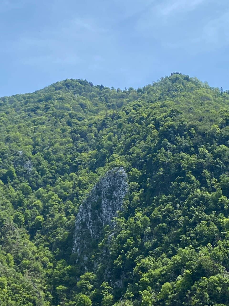 Open-Cabin Gondola Ride