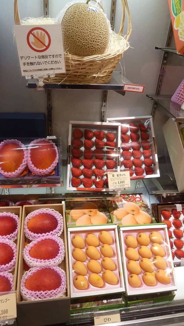 Warabi Mochi