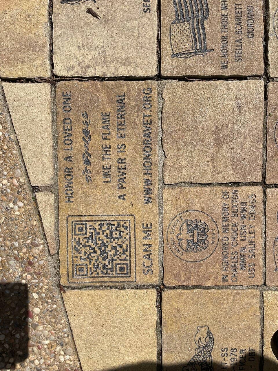 Vertical photo