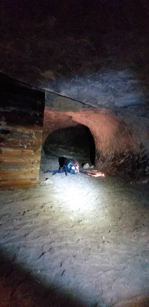 Engaging Guided Tours