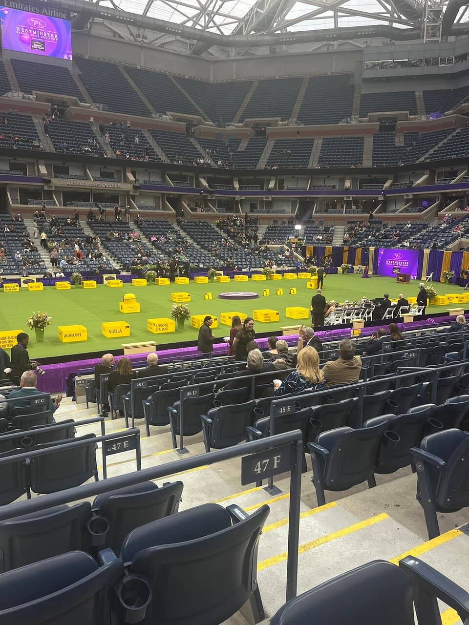 Billie Jean King's Legacy