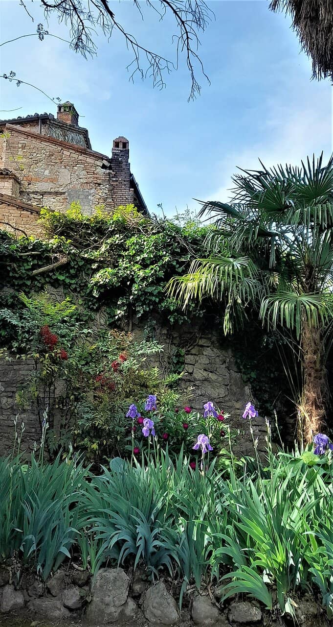 Antique-Furnished Suites