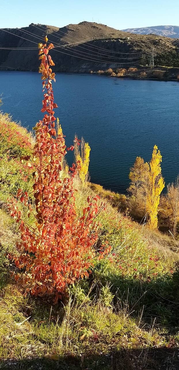 Vertical photo