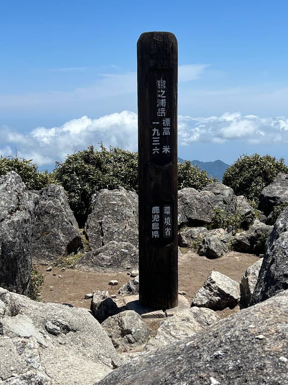 Ancient Cedar Forests