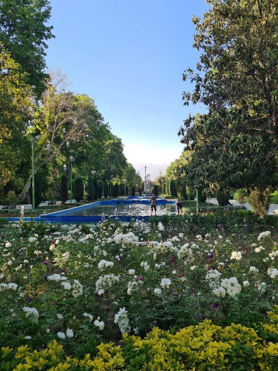 Aquarium