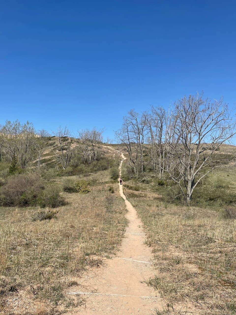 Vertical photo